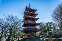 🇯🇵 ЯПОНИЯ: Групповой тур «ЛЕГЕНДЫ и ОГНИ ТОКИО»