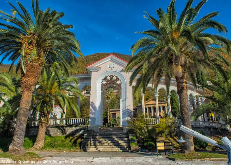 ABXAZIYA: GASTRONOMIK SAYOHAT - adsdasd