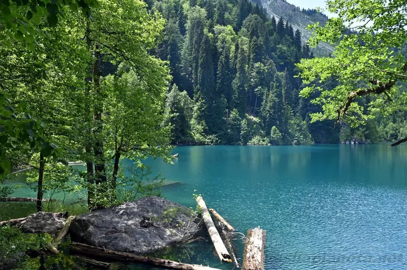 adsdasd - ABXAZIYA: GASTRONOMIK SAYOHAT