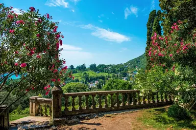 SOCHI VA ABXAZIYA: EKSKURSIYA TURI