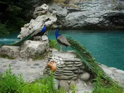 ABXAZIYA: DO‘STLIK VA OCHIQLIK MAMLAKATINING YETTI MO‘JIZASI - 15 613 559 so'mdan