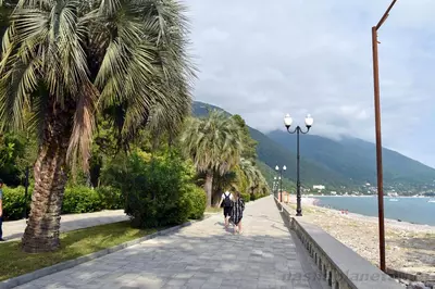 ABXAZIYA: DO‘STLIK VA OCHIQLIK MAMLAKATINING YETTI MO‘JIZASI - adsdasd