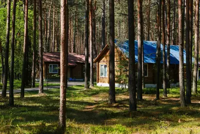  БЕЛАРУСЬ: ОТДЫХ и ЛЕЧЕНИЕ – САНАТОРИЙ «НАРОЧАНКА» - 