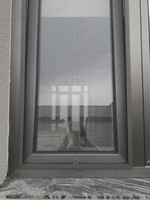 Москитные сетки - 200 000 so'mdan