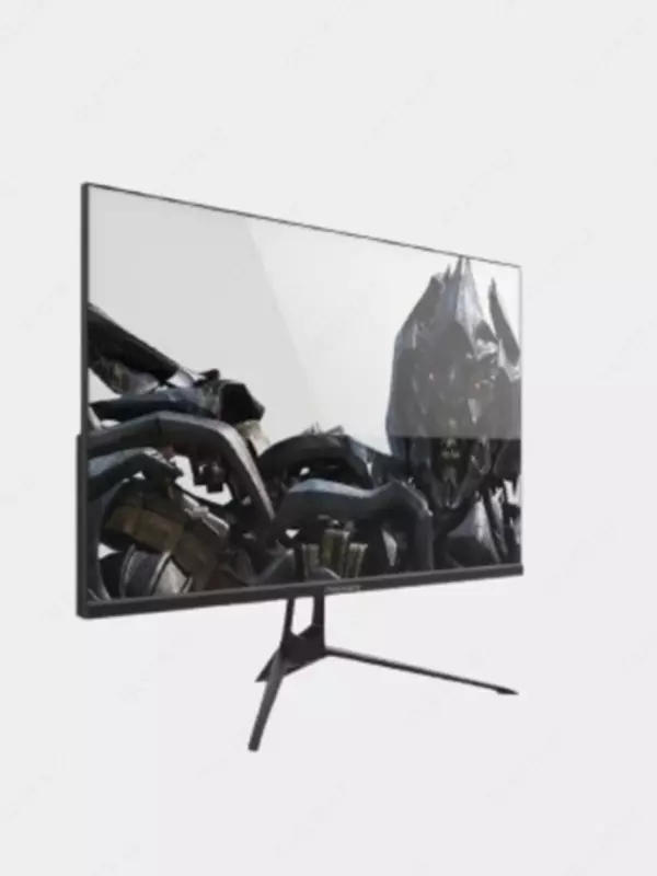  Monitor | Premier 24 | PRM100LEDM 100 Hz IPS | FullHD - 
