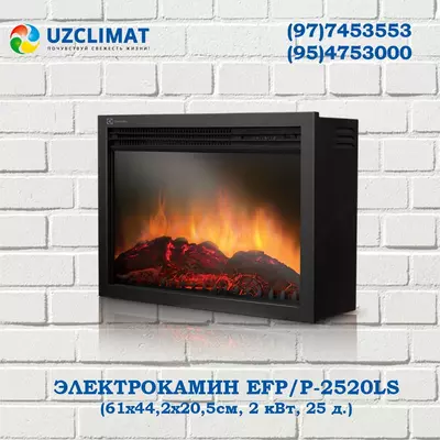 Электрокамин EFP/P-2520LS
