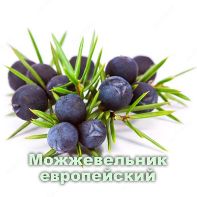 Эфирное масло Можжевельник  Vivasan