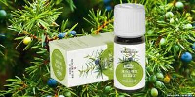 Швейцария - 395 850 сум / шт.