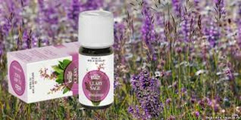 Эфирное масло Шалфей мускатный  Vivasan