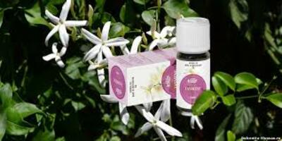 Швейцария - 957 580 сум / шт.