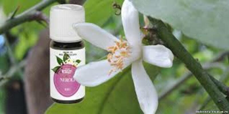 Швейцария - 899 145 сум