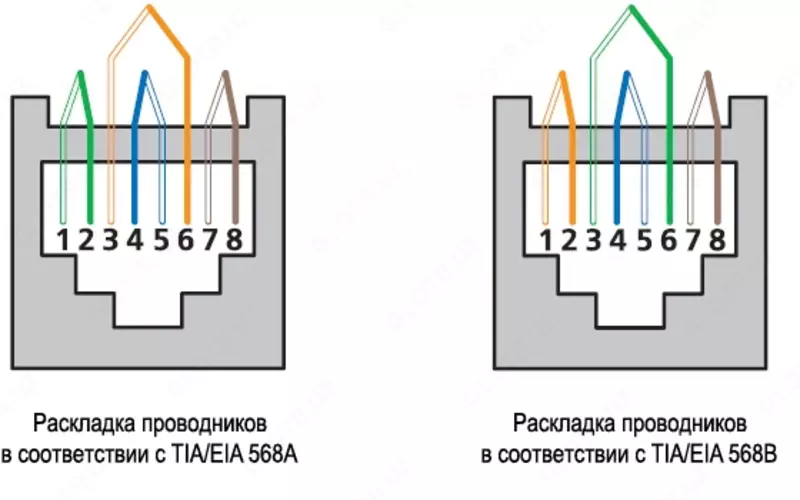 Ulagich rj45 ulagichi (8p8c)