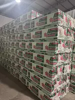 Пенополистирол XPS ThermoGoods гидроизоляционный