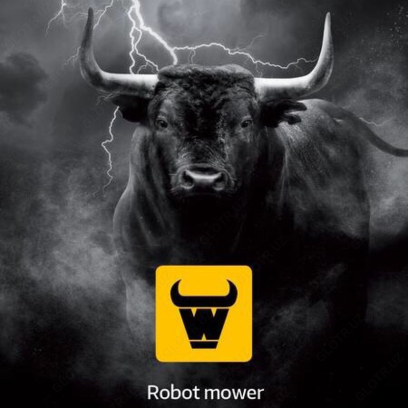 Электрическая газонокосилка MOWOX DYM1172-3 - 3 967 131.3 сум