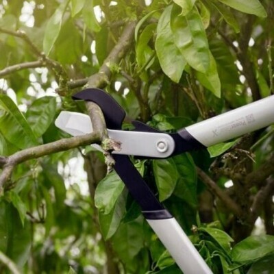 Сучкорез плоскостной Fiskars PowerGearX™ (L) LX98