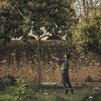  Fiskars PowerGear ™ UPX86 teleskopik universal lopper - 