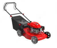 Benzinli maysazor Albert LM51-2L