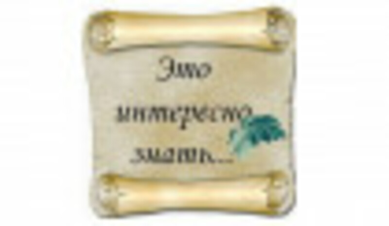 Интересные факты о пластмассе