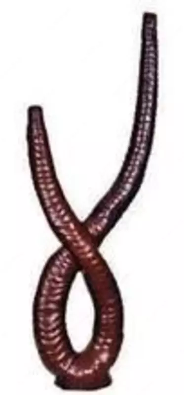 Ствол дерева №1 - 23 000 сум