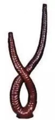 Ствол дерева №1 - 23 000 сум / шт.