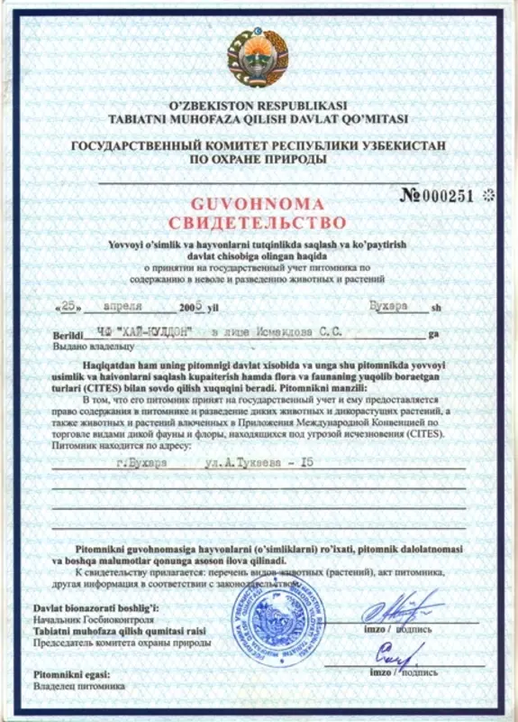 Свидетельство