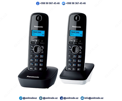 Радиотелефон Panasonic KX-TG1612 Радиотелефон Panasonic KX-TG1612