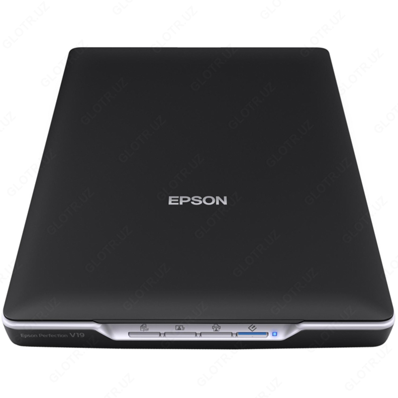 Сканер Epson Perfection V19