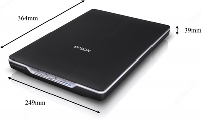 Сканер Epson Perfection V19