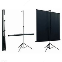Экран проекционный Tripod Screen (на треноге) TRM-NTSC-120D