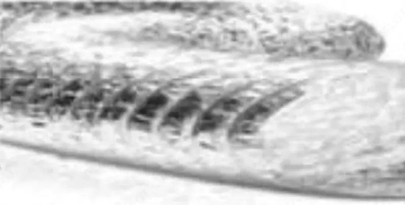  NIPHAD 127 Izolyatsiya qilinmagan moslashuvchan alyuminiy kanal - 