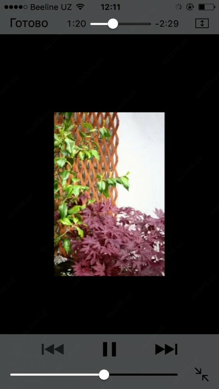 Скамейки - от {0} сум