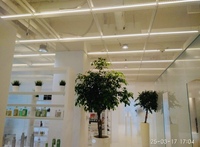 To'xtatilgan metall panjara shiftlari Savol-javob - Частное предприятие AXRAROVA MV