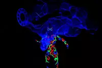 Ультрафиолетовое шоу мыльных пузырей с элементами фокусов! - по запросу