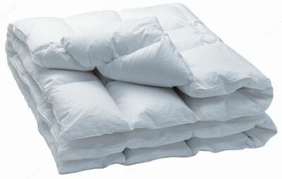 Химчистка одеяла 2 спальное - 175 000 сум