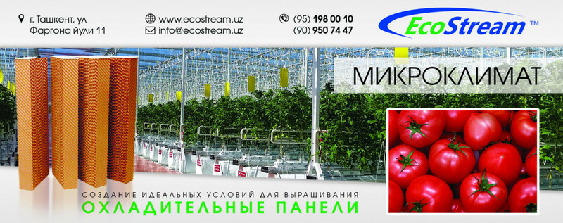 Создание идеальных условий для выращивания