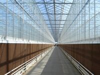 150 мм - 418 713.1 сум