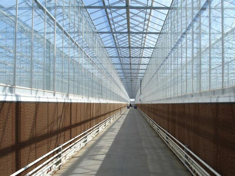 150 мм - 418 713.1 сум