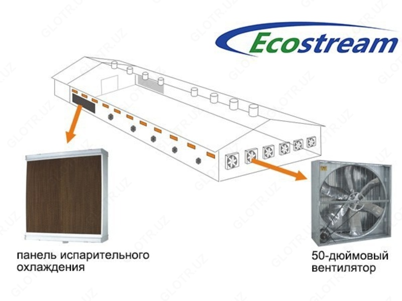 Вытяжной вентилятор
