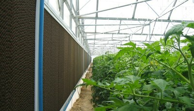 EcoStream - охладительная гофра панель испарительного типа, 150 мм