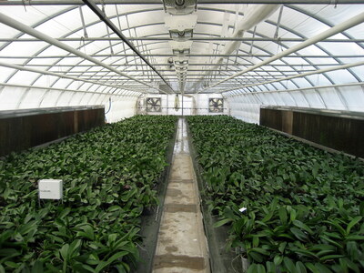 Eco Stream охладительная панель испарительного типа, 100 мм