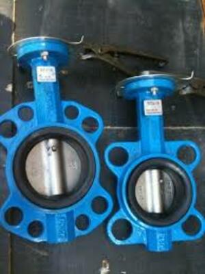 Kelebek klapanlari, n. ro&#39;yxatiga ko&#39;ra DN 50-219 disk