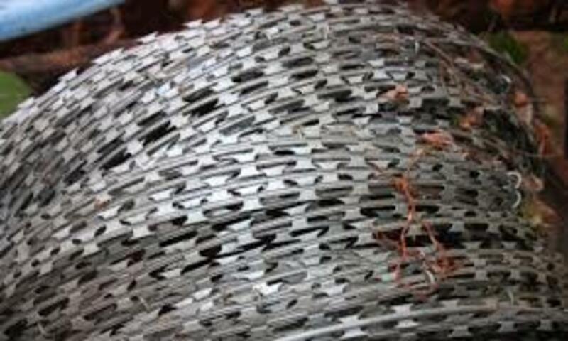 Egoza simlari (ro&#39;yxat bo&#39;yicha)