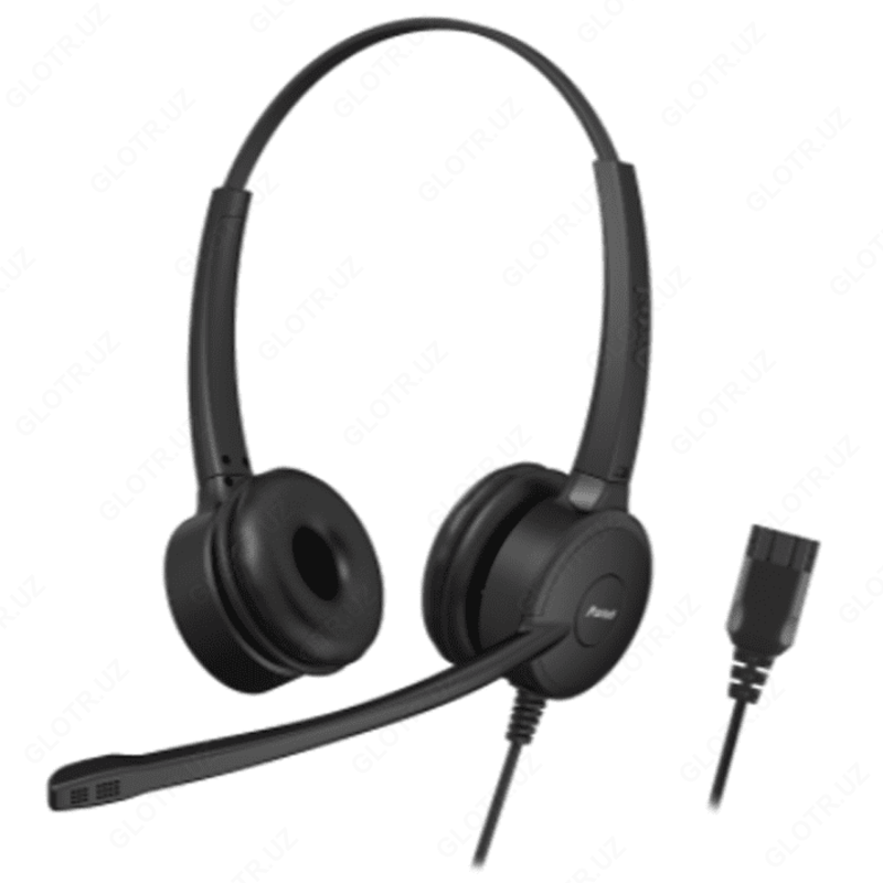 Наушники Panasonic RP-TCA400 черная
