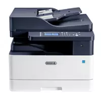 Printer Xerox B1025 (A3