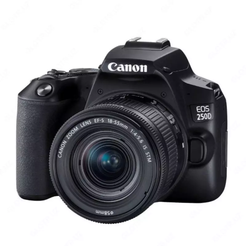 Фотоаппарат Canon EOS 250D Kit 18-55mm III Wi-Fi