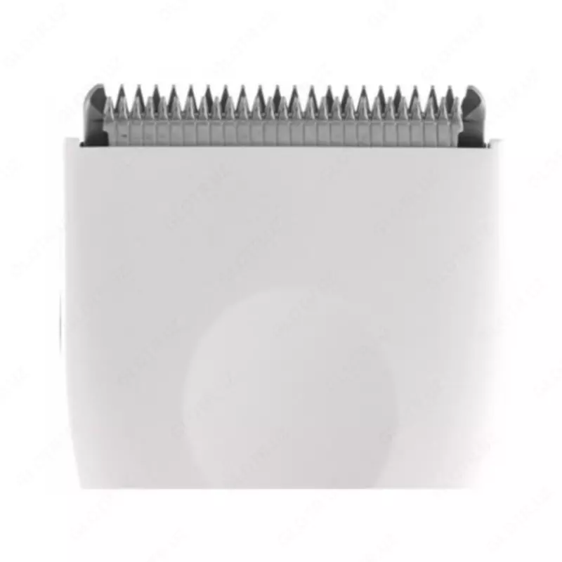Trimmer Panasonic ER-GB42-K520