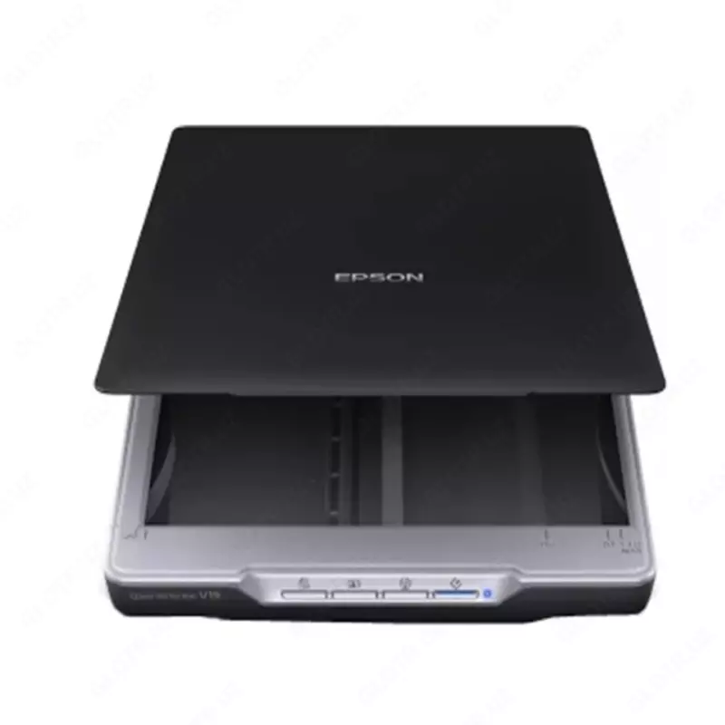 Сканер Epson Perfection V19