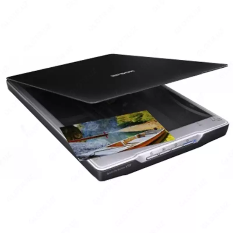 Сканер Epson Perfection V19