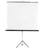 Экран для проектора I-VIEW 2