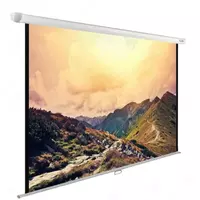 Экран для проектора I-VIEW 3